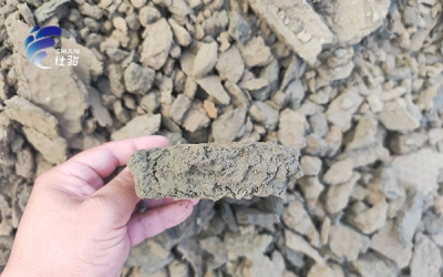 污泥調(diào)理的藥劑有哪些-青島仕駿